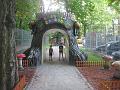 minizoo 17
